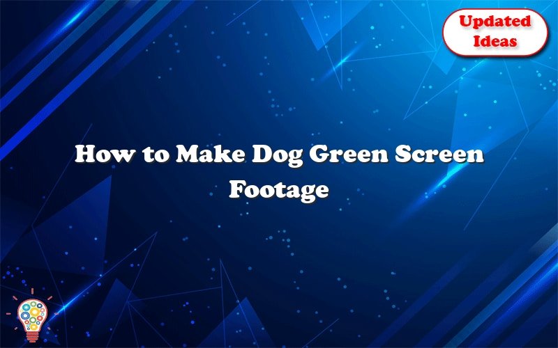 how to make dog green screen footage 42527