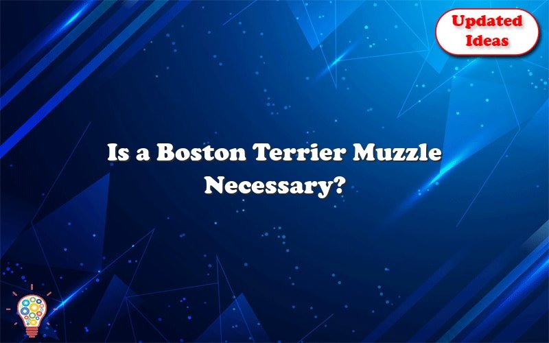 is a boston terrier muzzle necessary 44269