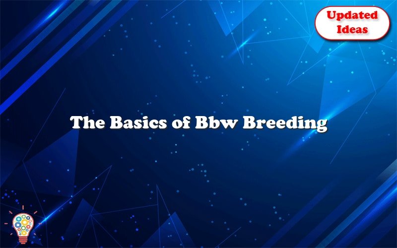 the basics of bbw breeding 43925
