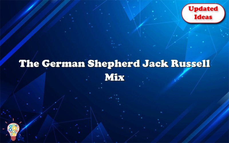 the german shepherd jack russell