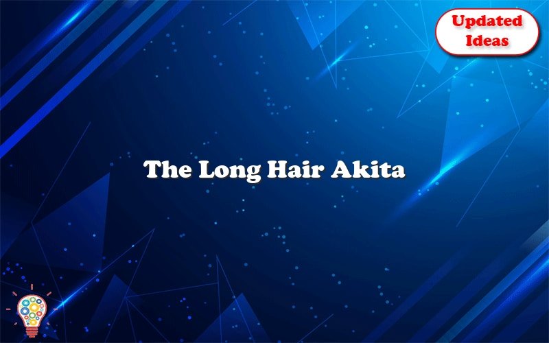 the long hair akita 42119