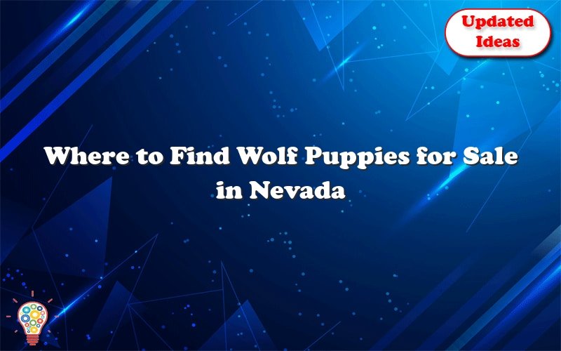 where to find wolf puppies for sale in nevada 43445
