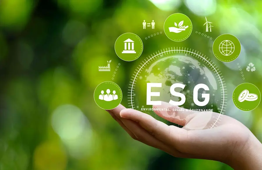 Sustainability vs. ESG What’s the Difference Between the Two