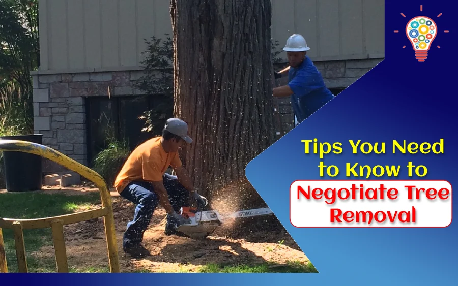 Tips You Need to Know to Negotiate Tree Removal