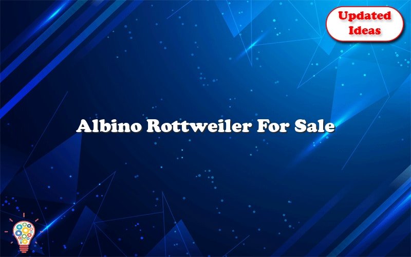 albino rottweiler for sale 47605
