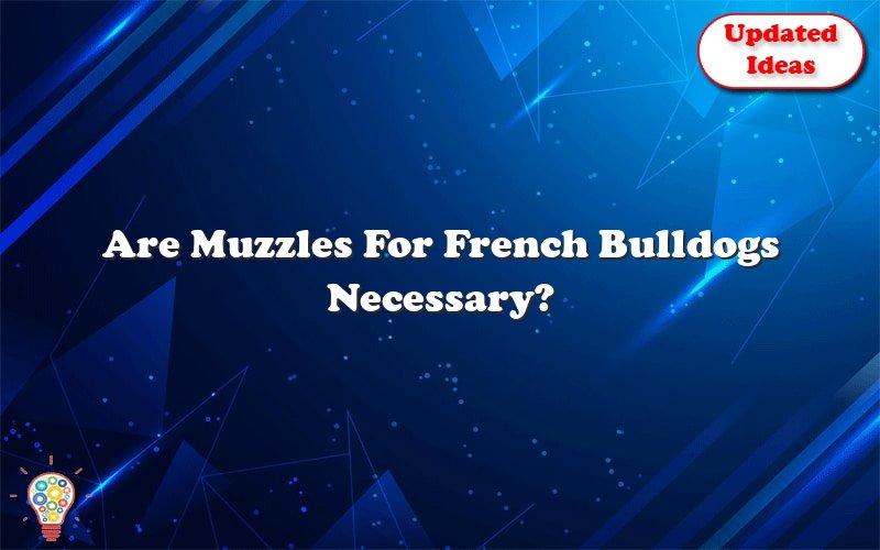 are muzzles for french bulldogs necessary 49547
