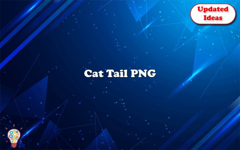 cat tail png 49801