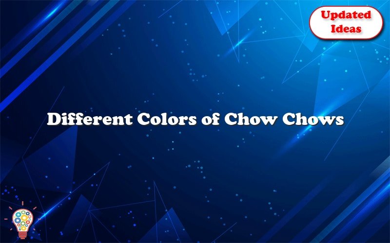 different colors of chow chows 47697
