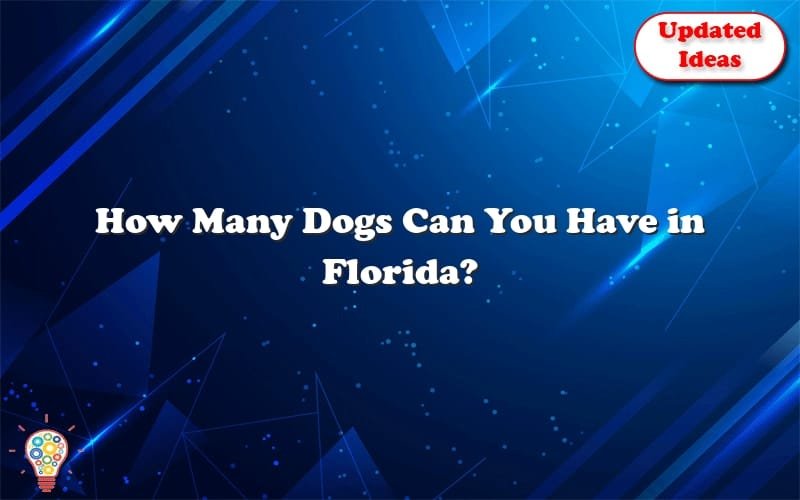 how-many-dogs-can-you-have-in-florida-updated-ideas