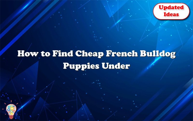 how to find cheap french bulldog puppies under 500 in texas 2 46713
