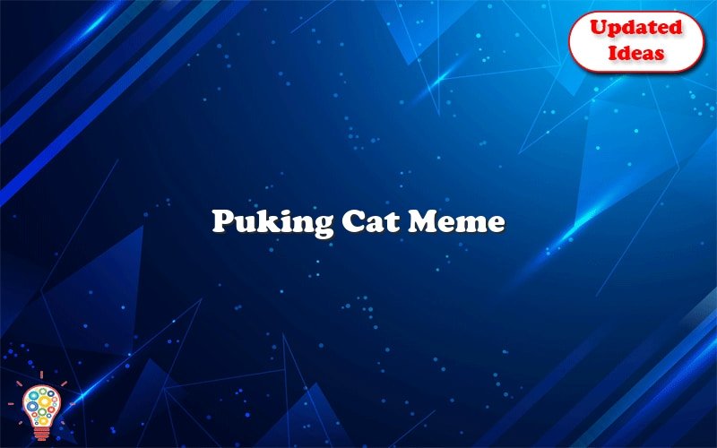 puking cat meme 49681