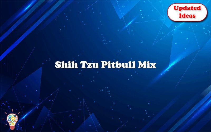 shih tzu pitbull mix 2 46326