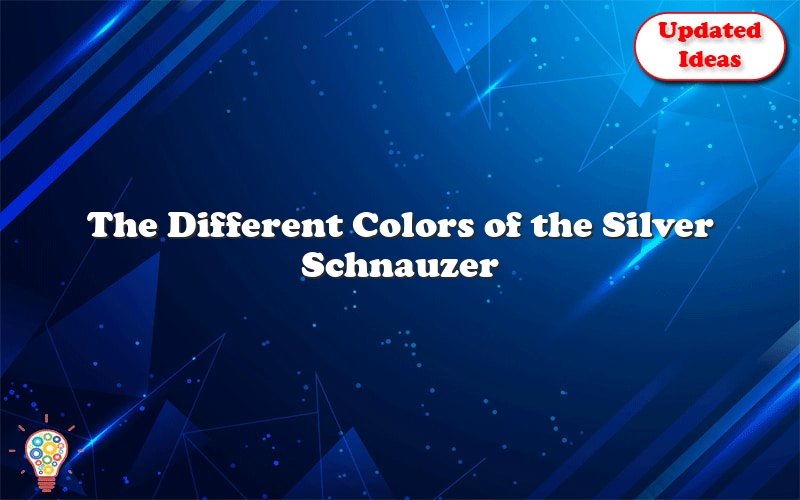 the different colors of the silver schnauzer 47467