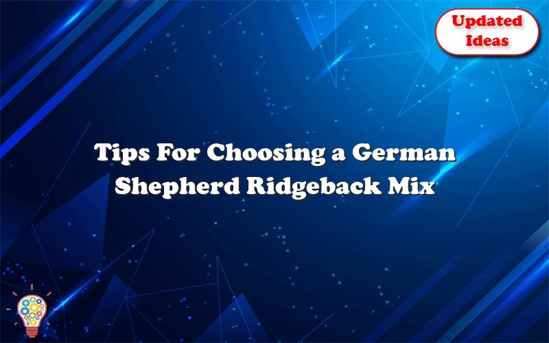 tips for choosing a german shepherd ridgeback