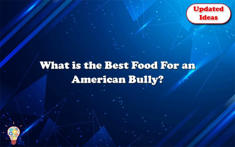 what is the best food for an american bully 49233