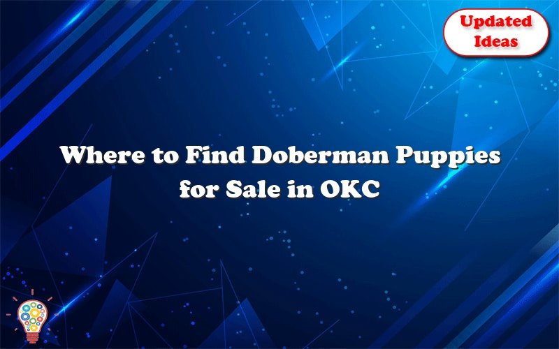 where to find doberman puppies for sale in okc 45975