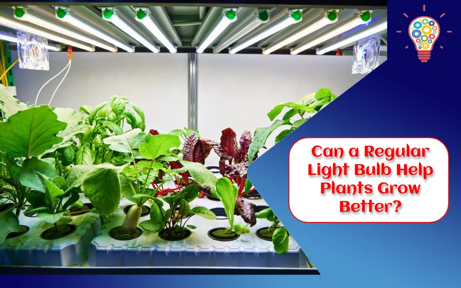 Can a Regular Light Bulb Help Plants Grow Better?