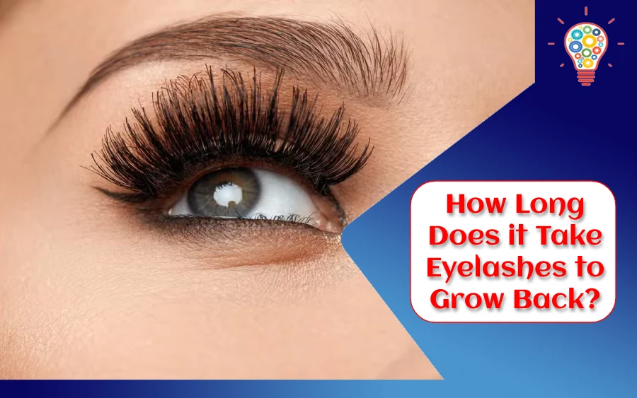 How Long Does it Take Eyelashes to Grow Back?