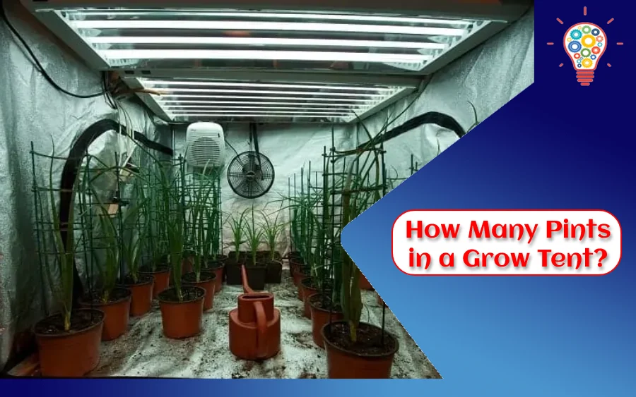 How Many Pints in a Grow Tent?