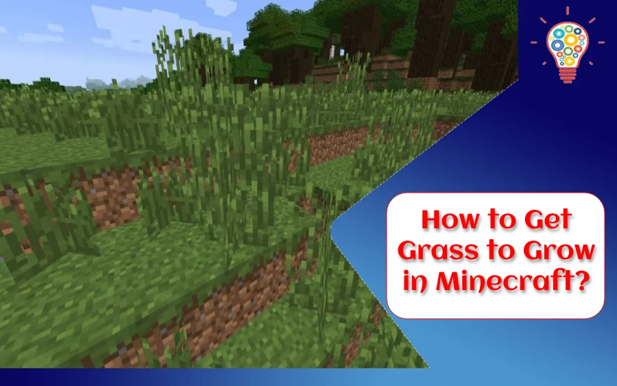 How to Get Grass to Grow in Minecraft?