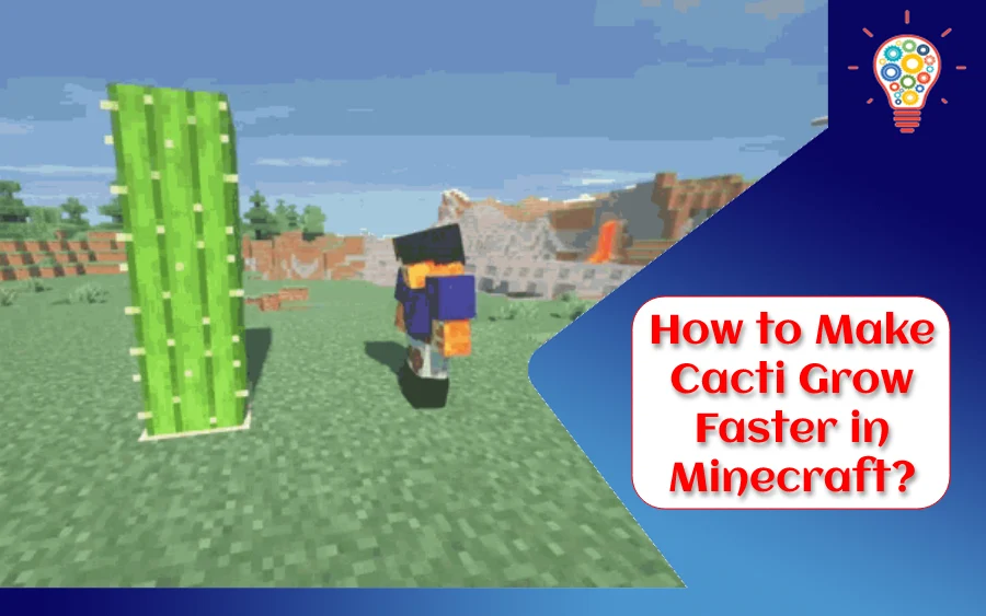 How to Make Cacti Grow Faster in Minecraft?