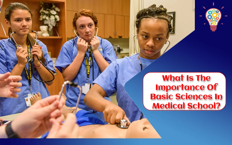 What Is The Importance Of Basic Sciences In Medical School?