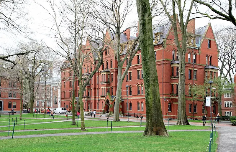 5 Ways To Improve Your Chances Of Getting Into Harvard