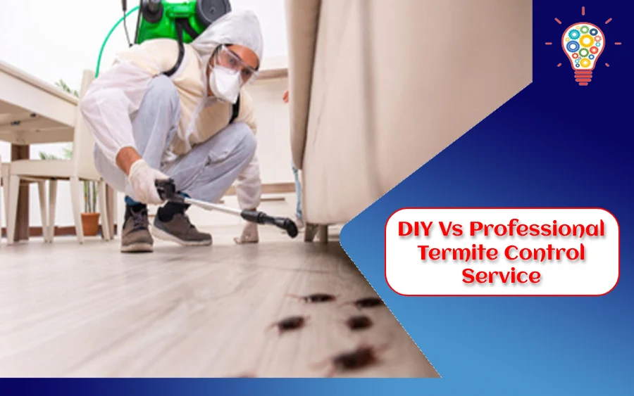 DIY Vs Professional Termite Control Service | Which One Is Best