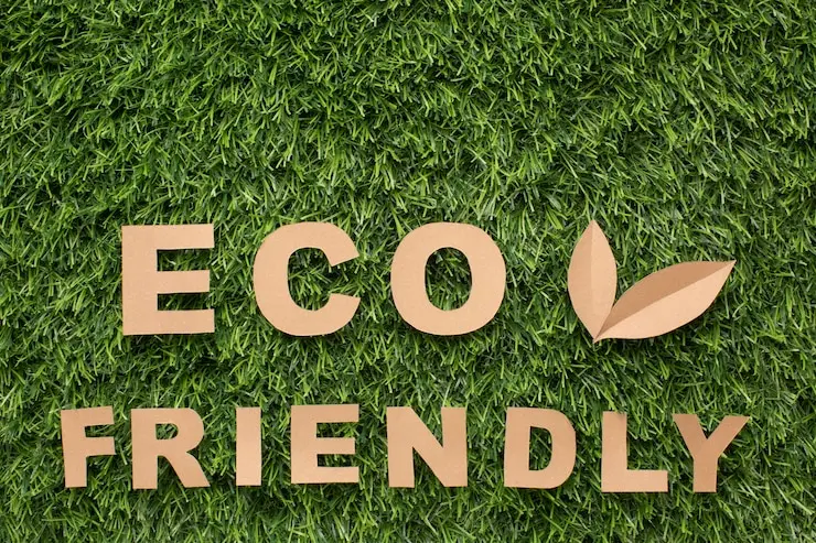 What You Can Do To Be More Eco-Friendly          
