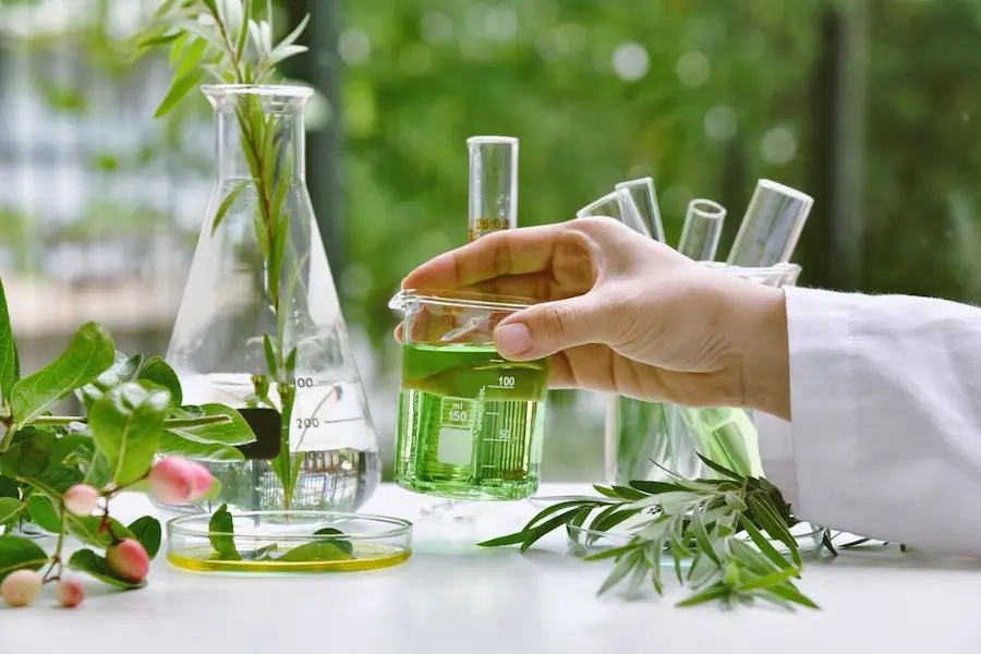 ThEvolution of Botanical Extraction Techniques and Their Impact on Well-being
